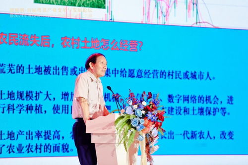 粵菜變革 抓住時代風口，以“新味”走出“圍城”